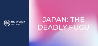 Japán: a halálos fugu gömbhal és a robotok városa.