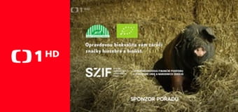 Zpátky do přírody - Šumava