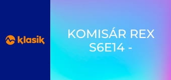 Komisár Rex S6E14 - Smrť prišla dvakrát