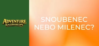 Snoubenec nebo milenec?