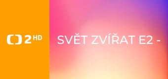 Svět zvířat E2 - Koně
