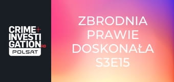 Zbrodnia prawie doskonała S3E15 - Guitron