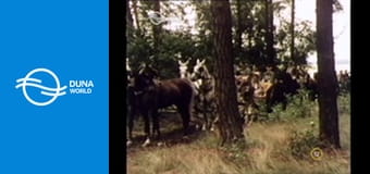 Johann Sebastian Bach E2 - Ha nálam vagy