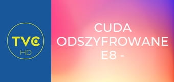 Cuda odszyfrowane E8 - Uratowany przez anioły, opętanie po hindusku i krew Chrystusa
