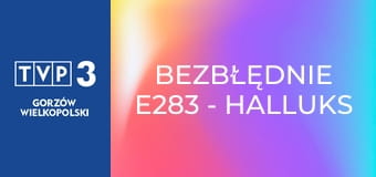 Bezbłędnie E283 - Halluks