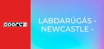 Labdarúgás - Newcastle - Barcelona