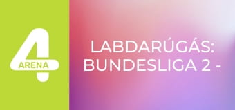 Labdarúgás: Bundesliga 2 - Darmstadt – Schalke
