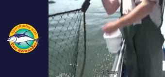 New Huck Finn, part 1