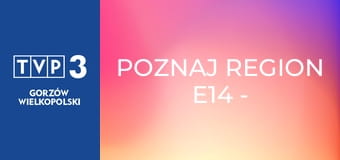 Poznaj region E14 - Zamek Świny
