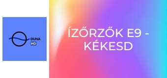 Ízőrzők E9 - Kékesd