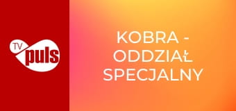 Kobra - oddział specjalny S17E7 - Zagubiona