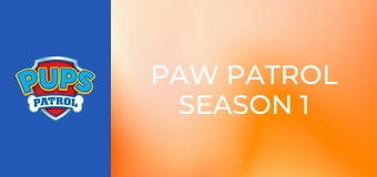 Patrula căţeluşilor Sezonul 1 Episodul 15