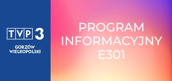 Program informacyjny E301