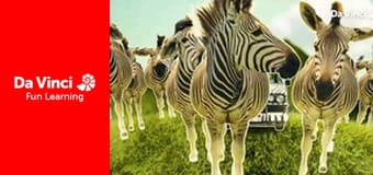 Siyaya - Come Wild With Us - Surfing Snails