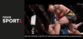 NHL: Toronto Maple Leafs - Los Angeles Kings