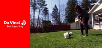 Did I Mention Invention - Doomsday Seed Vault