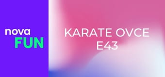 Karate ovce E43
