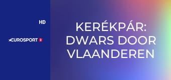 Kerékpár: Dwars door Vlaanderen férfiak