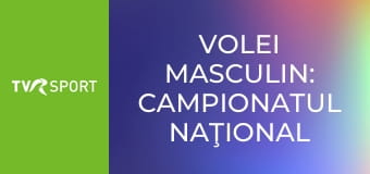 Volei masculin: Campionatul naţional