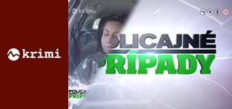 Policajné prípady S3E4 - Jazda načierno a falošná bankovka, Neodbytný hosť, Podnikavé dievča, Domáci tyran