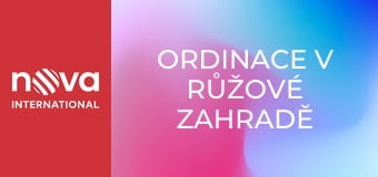 Ordinace v růžové zahradě 2 S2E172 - Typický svatební úraz
