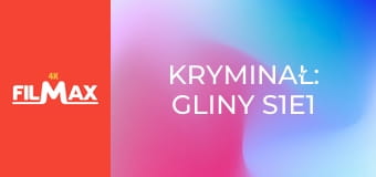 Kryminał: Gliny S1E1