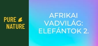 Afrikai vadvilág: Elefántok 2. rész