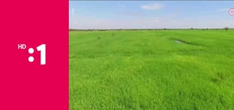 Bez batožiny E29 - Kambodža – jazero Tonle Sap