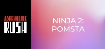 Ninja 2: Pomsta