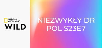 Niezwykły dr Pol S23E7 - Ekipa na medal