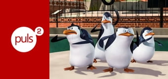 Pingwiny z Madagaskaru S3E13 - Tunel miłości / Idealny dzień