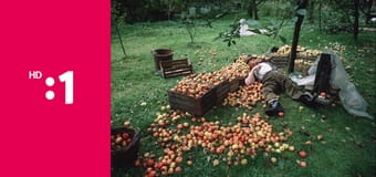 "Slavnosti sněženek"