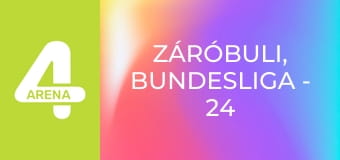 ZáróBuLi, Bundesliga - 24. forduló, összefoglaló műsor