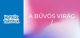 A bűvös virág / Apáknapi ajándék