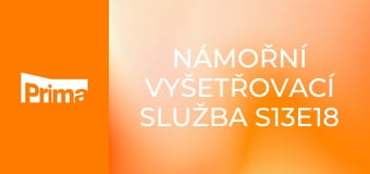 Námořní vyšetřovací služba S13E18 - Zaměřovač