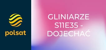 Gliniarze S11E35 - Dojechać frajera