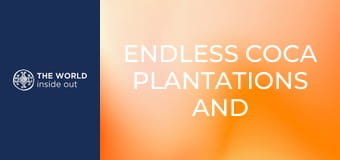 Nekonečné plantáže koky a opekané morské prasiatko na špíze. Bolívia.