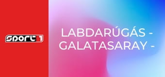 Labdarúgás - Galatasaray - Liverpool