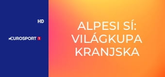 Alpesi sí: Világkupa Kranjska Gora férfiak - Műlesiklás 2. futam