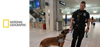 Reptéri történetek: Elveszett csomagok nyomában S1E7 - Régi fotók, pénztárca, karácsonyi díszek