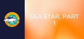 Sea Star, part 1