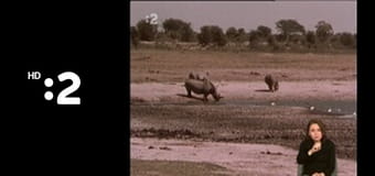 Trpaslíci E125 - Smajlivareška – Smajliplacky