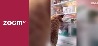 To leci w sieci S1E6