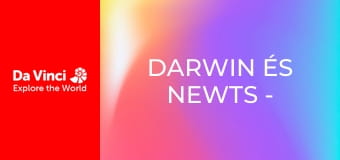 Darwin és Newts - Manuiti repülni tanul Darwin és Newts - Manuiti repülni tanul