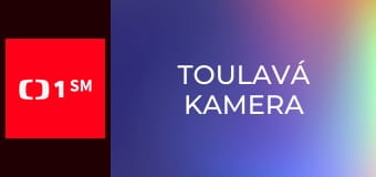 Toulavá kamera