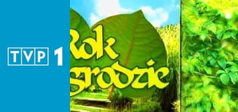 Rok w ogrodzie E1140