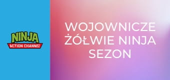 Wojownicze żółwie ninja Sezon 4 Odcinek 21