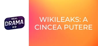 Wikileaks: A cincea putere în stat