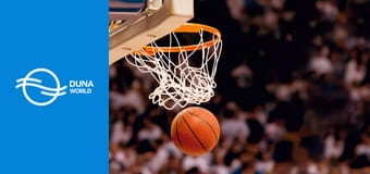 Kosárlabda: világbajnoki selejtező férfiak - Belgium – Magyarország mérkőzés