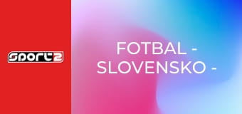 Fotbal - Slovensko - Rumunsko
